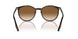 902/51 - Tortoise - Light Brown