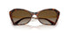 W656T5 - Brown - Grey Gradient Brown Polar