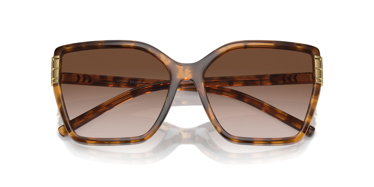 199213 - Tortoise - Light Brown Gradient