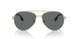 110981 - Gold - Dark Grey Polar