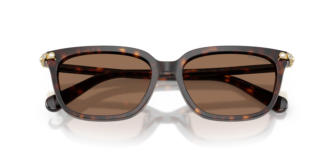 100273 - Tortoise - Dark Brown