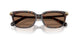 100273 - Tortoise - Dark Brown