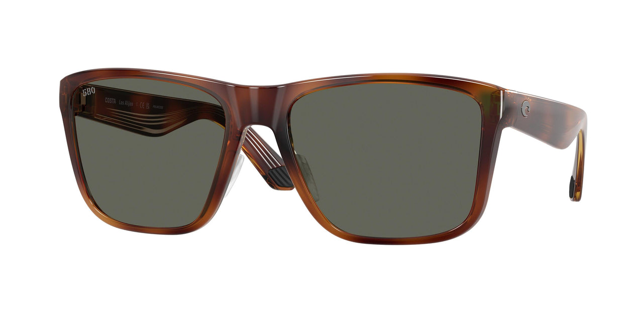 912605 - Tortoise - Gray