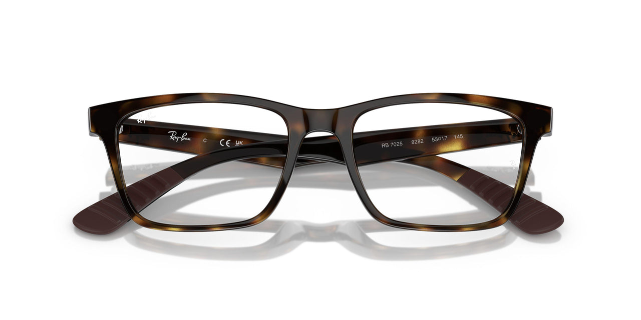 8282 - Tortoise - Clear