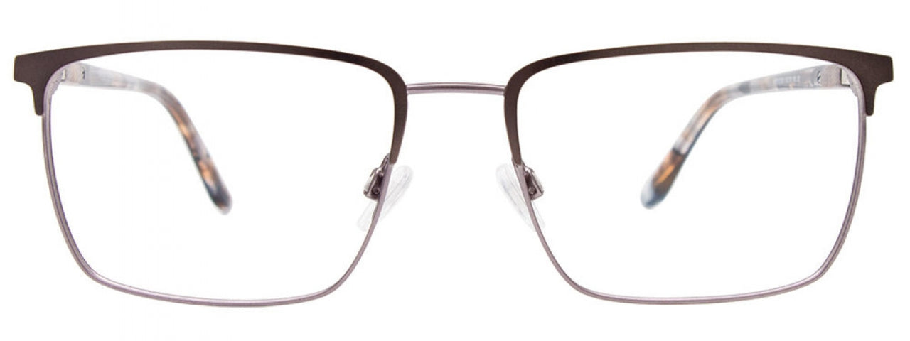 20 - Dark Steel & Steel / Tortoise