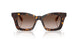 502613 - Tortoise - Brown Gradient