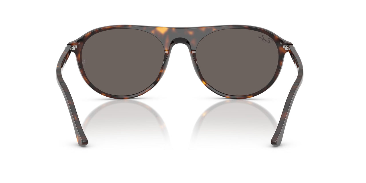 902/B1 - Tortoise - Dark Grey
