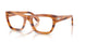960 - Tortoise