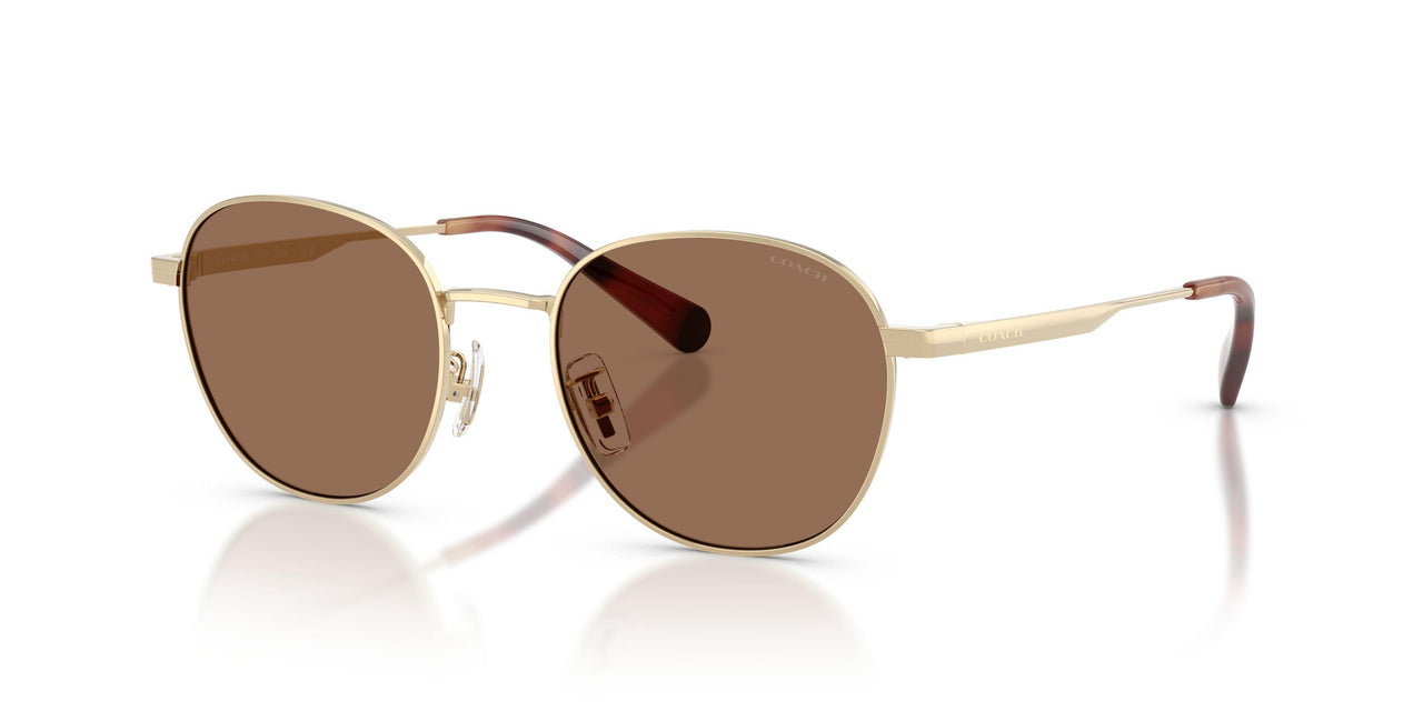 Coach Cdp36 7191 Sunglasses