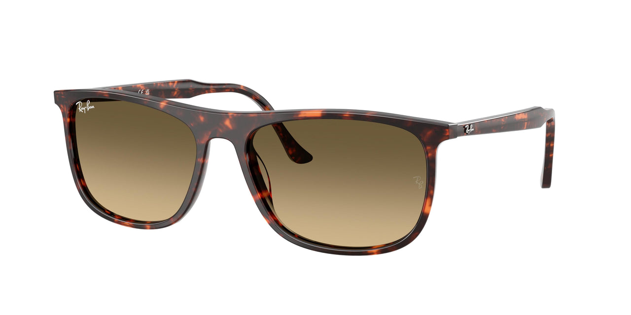 Ray-Ban 2216 Sunglasses