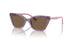306473 - Transparent Violet - Dark Brown