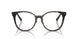 8015 - Tortoise