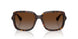 5003T5 - Tortoise - Polar Brown Gradient