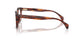 3034 - Tortoise