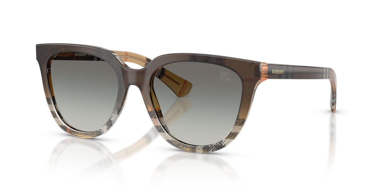 420211 - Brown - Grey Gradient