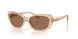 621173 - Brown - Brown