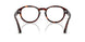 24/GG - Havana - Transitions 8 Sapphire