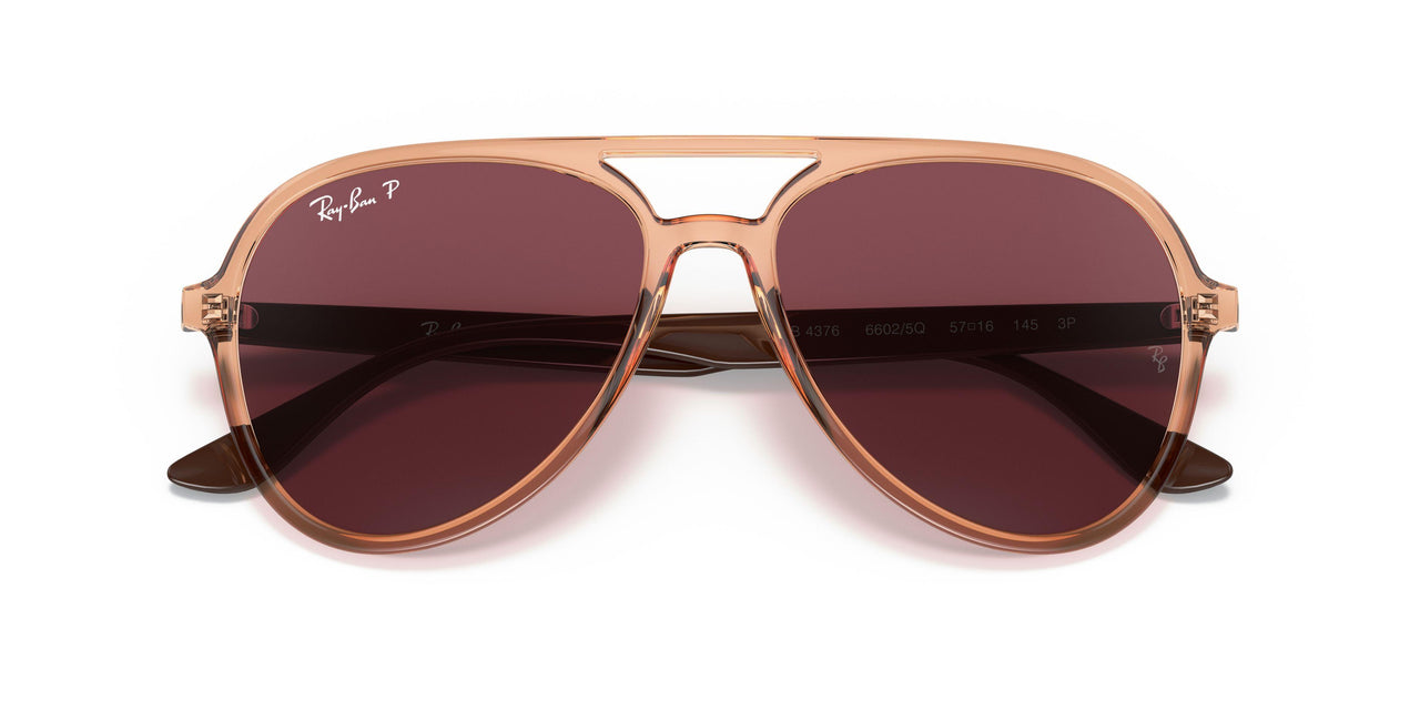 66025Q - Brown - Purple Polar