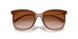 39383B - Brown - Brown Gradient
