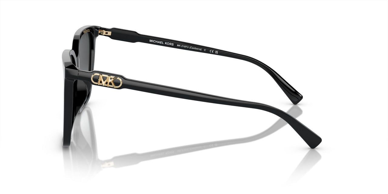 3005T3 - Black - Grey Gradient Polar