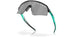 946526 - Black - Prizm Black