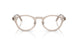 8449 - Brown - Demo Bio