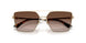 300613 - Gold - Brown Gradient