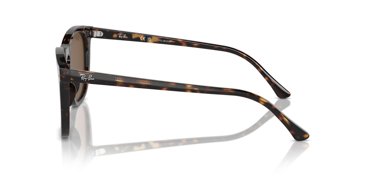 902/57 - Tortoise - Brown