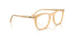 8383 - Brown - Clear