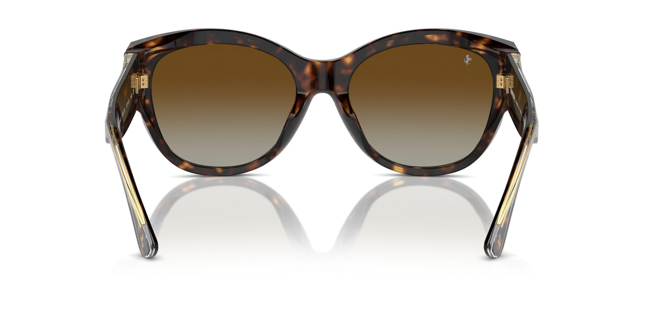 702/T5 - Tortoise - Brown Gradient Polarized