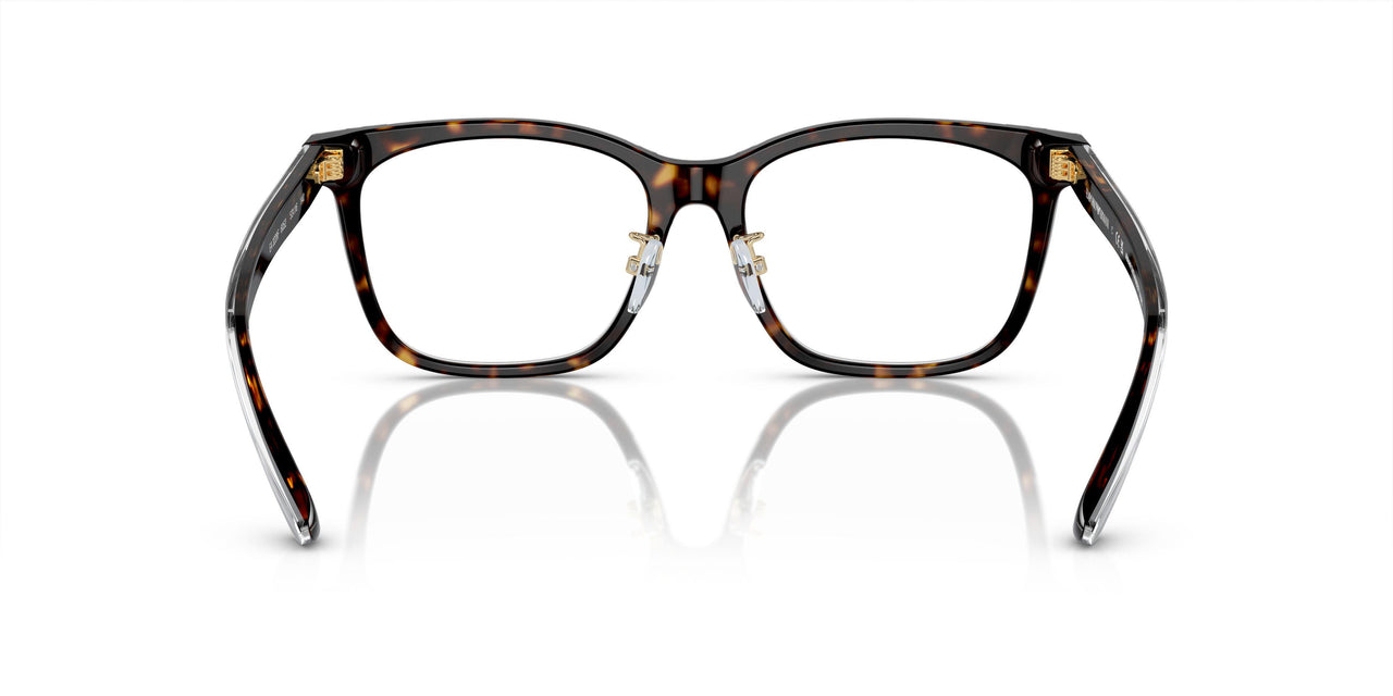 6052 - Tortoise