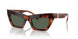 331671 - Tortoise - Dark Green