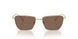 301373 - Gold - Dark Brown
