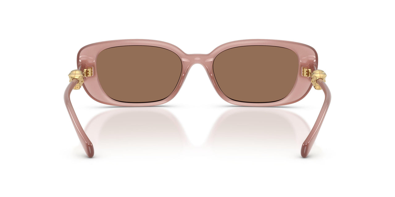 553573 - Pink - Dark Brown