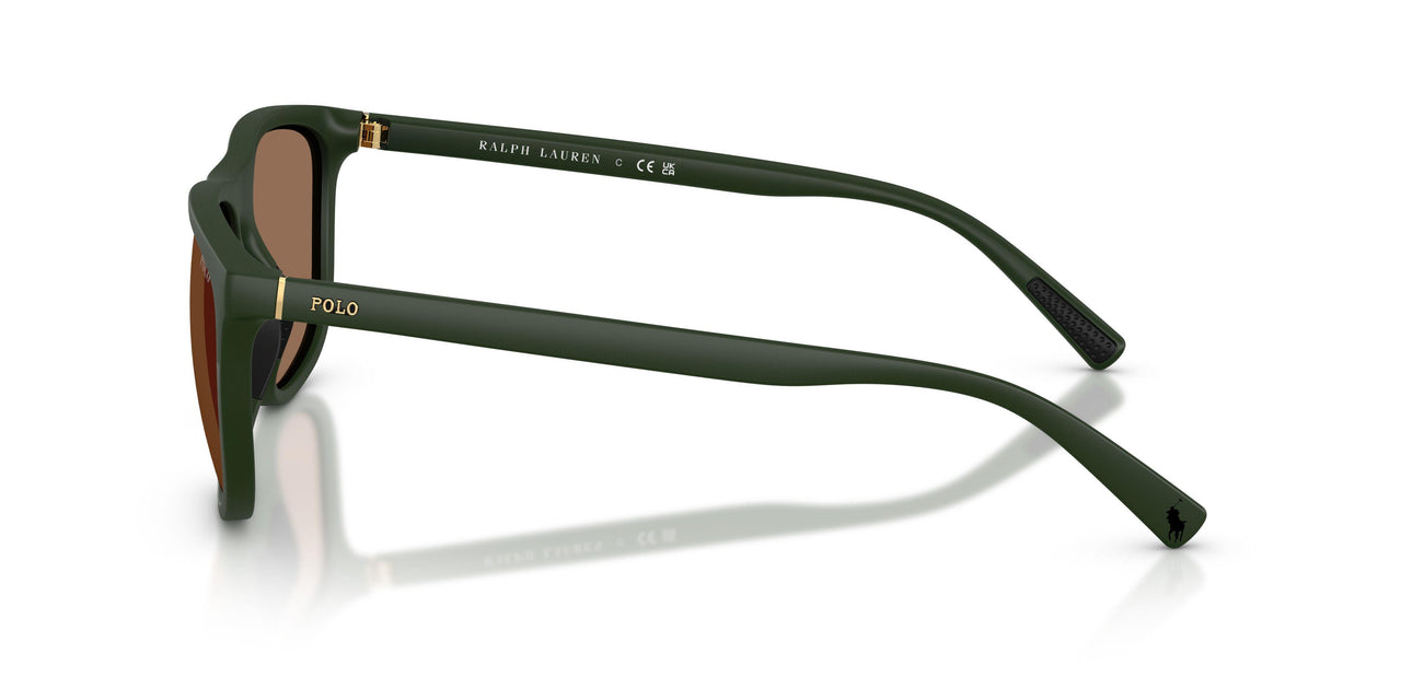 559673 - Green - Dark Brown