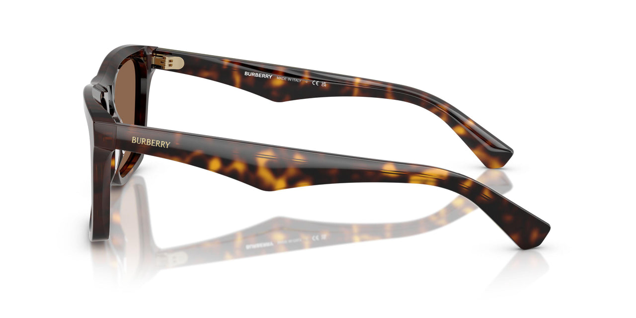 300273 - Brown - Dark Brown