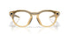 800208 - Yellow - Transitions Brown