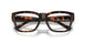 8015 - Tortoise