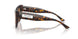 500273 - Tortoise - Dark Brown