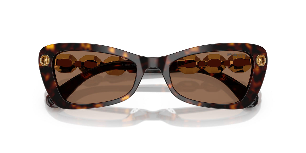100273 - Tortoise - Dark Brown