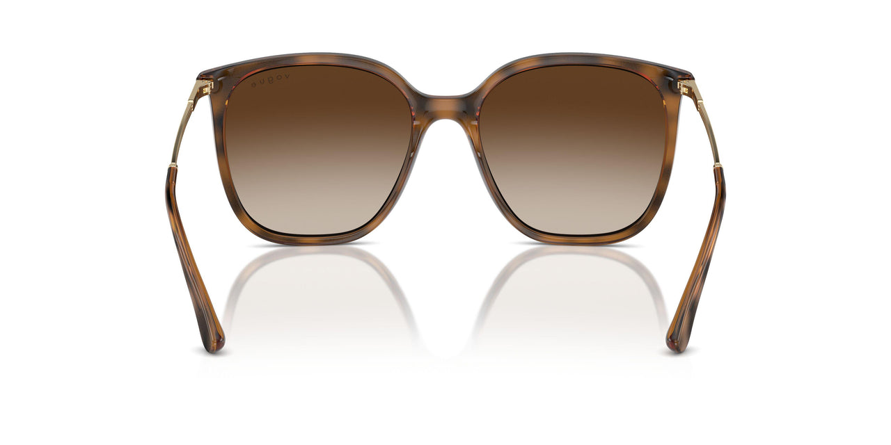 238613 - Brown - Gradient Brown