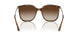 238613 - Brown - Gradient Brown