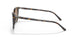135757 - Brown - Brown Polar