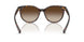 500313 - Tortoise - Brown Gradient