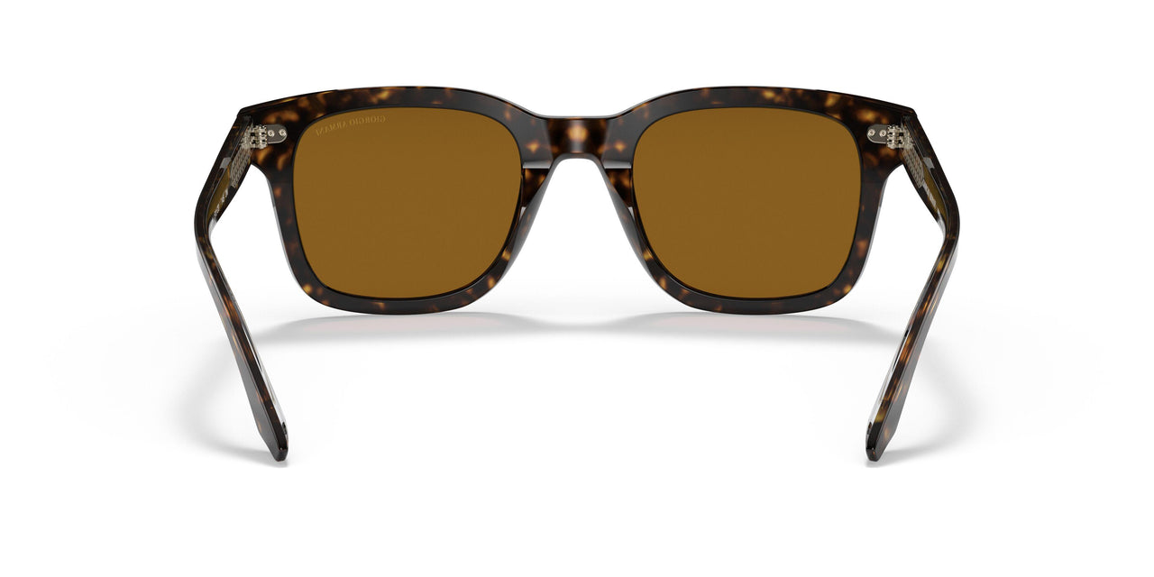 502633 - Havana - Brown