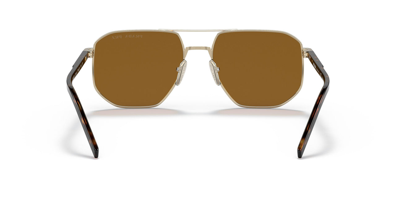 ZVN5Y1 - Gold - Polar Brown