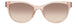 BPP - Botanical Paisley Pink
