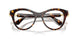 1002 - Brown