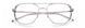 Paradigm 21-06 Eyeglasses