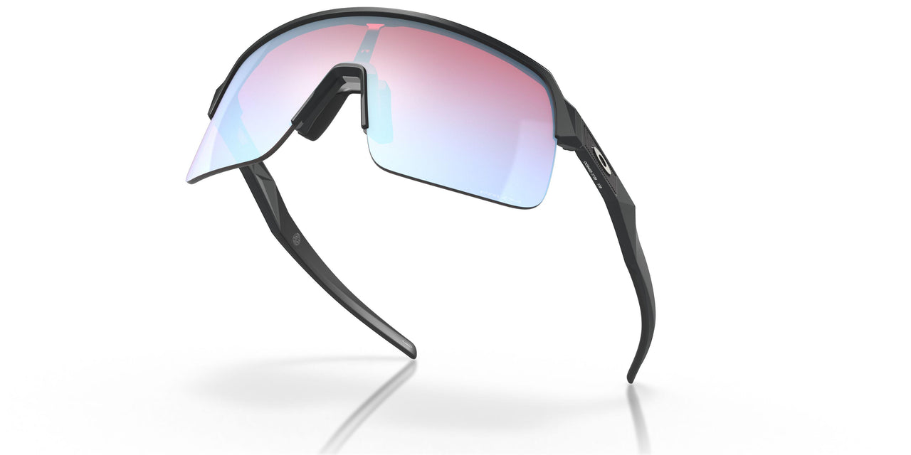 946317 - Black - Prizm Snow Sapphire
